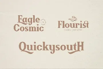 Brickson - Elegant Modern Serif font