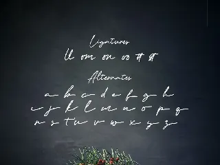 Artemay Bright - Signature Script Font