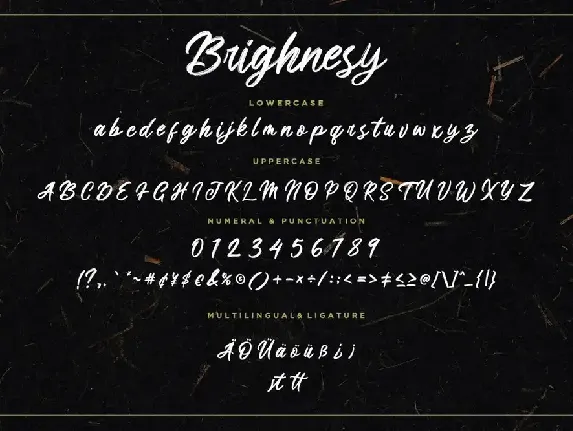 Brighnesy Hand Brush Business Font