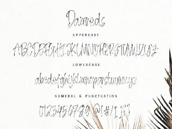 Damreds - The Beauty Handwritten Font