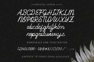 Ghaniyun Monoline Font