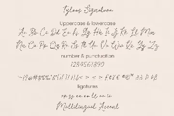 Tyloos Signature - Signature Font