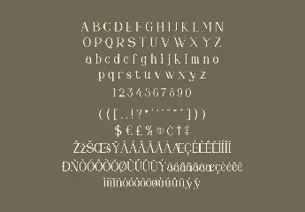 Halona Modern Serif Font