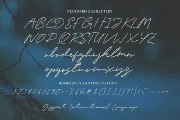 Camela - Beauty Signature Font