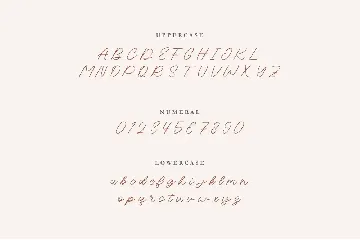 NCL Bique Kisty - Love Swash Wedding Script Font