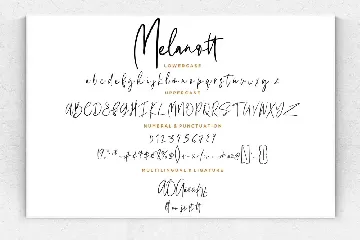 Melanott Signature Business Font