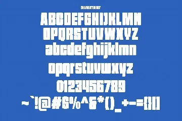 Chucka Bold Sans Display Font