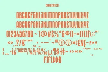 Neyko Sans Serif Display Font