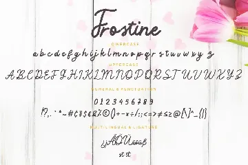 Frostine Curly Advertisement Font