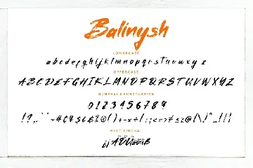 Balinysh Natural Brush Business Font