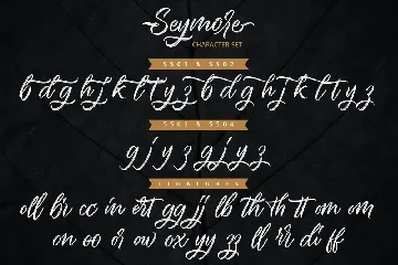 Seymore â€“ Brush Script Font