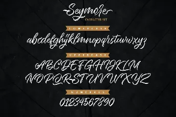 Seymore â€“ Brush Script Font