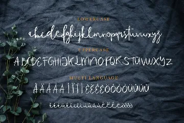 Tequilove font