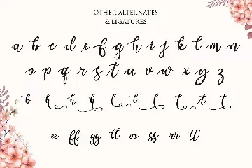 Valentina - Calligraphy Typeface font