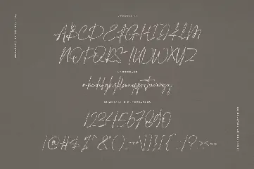 The Hamstter - Signature Script Font