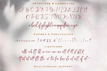 Bung Virgi - Signature Script Font