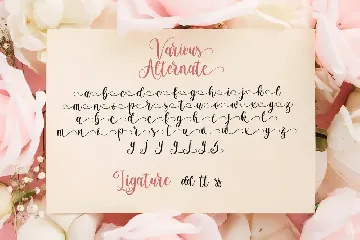 Brightside - Modern Calligraphy Font