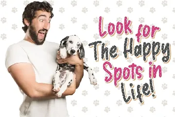 Dalmaspot Advertisement Font