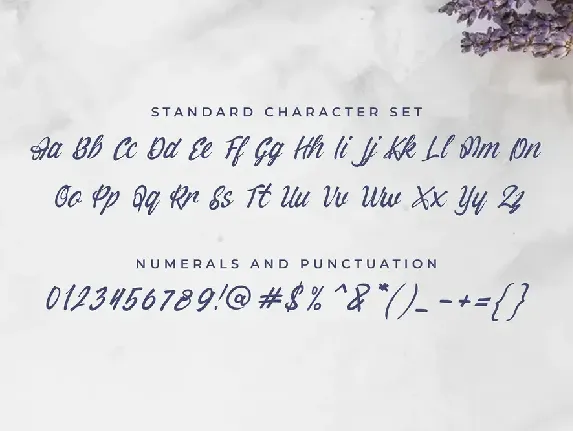 Andorea Handwrite Font