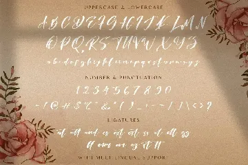 Risatry - Calligraphy Font