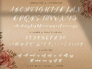 Risatry - Calligraphy Font