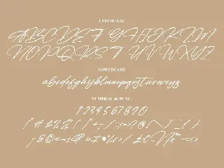 Detinata Modern Signature Font