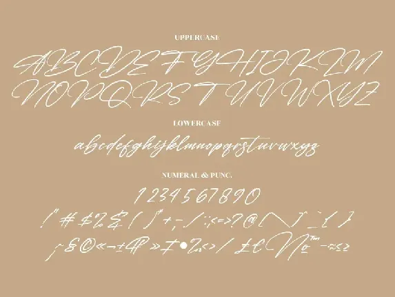 Detinata Modern Signature Font