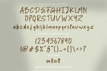 Ronald Flick - Handwritten Font