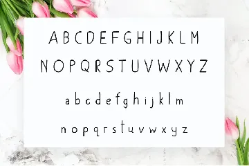 Hardwyn Handwritten Font