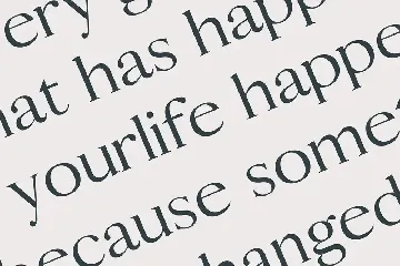 Caelan Sans Serif Font Family