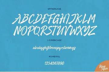 Village Stylish font