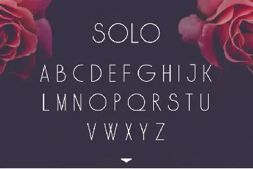 SOLO font