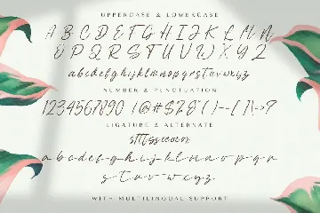 Sabeny Betranss - Handwritten Font