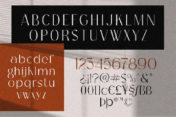 Bagina Serif font