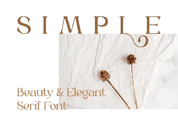 Braisle - Beauty and Elegant Serif font