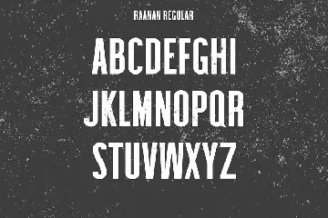 Raanan Classic Sans Serif Family font