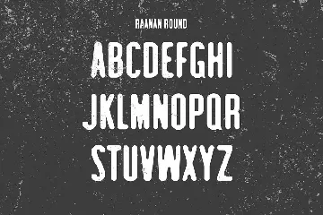 Raanan Classic Sans Serif Family font