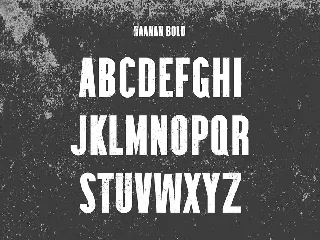 Raanan Classic Sans Serif Family font