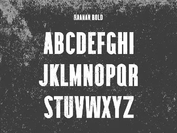 Raanan Classic Sans Serif Family font