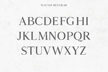 Wacian Serif Font Family