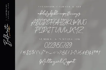 Bellarosta - Signature Font