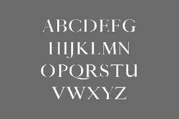 Thomas Craft A Modern Serif Typeface font