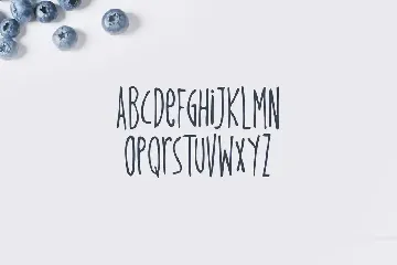 Periwinkle Typeface font