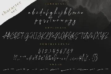 Agatha Christy Signature Collection font