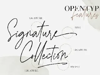 Agatha Christy Signature Collection font