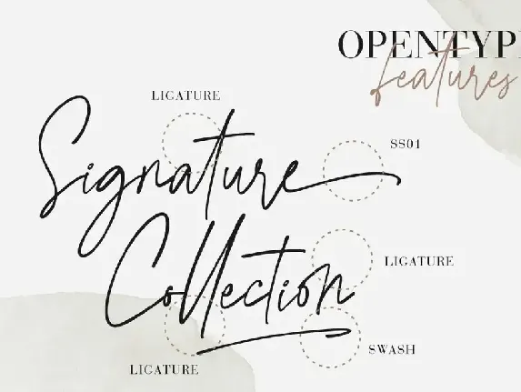 Agatha Christy Signature Collection font