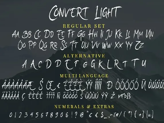 Convert Light Elegant Unique Amazing Script font