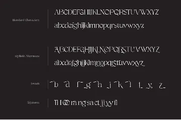 Margic Tp - Magic of Typeface font