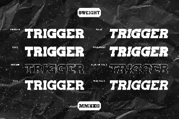 Trigger slab serif font