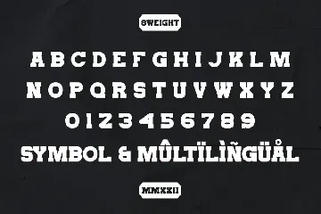 Trigger slab serif font